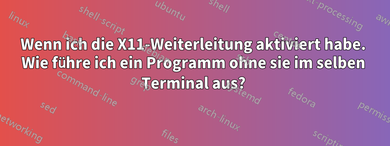 Wenn ich die X11-Weiterleitung aktiviert habe. Wie führe ich ein Programm ohne sie im selben Terminal aus?