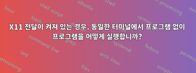 X11 전달이 켜져 있는 경우. 동일한 터미널에서 프로그램 없이 프로그램을 어떻게 실행합니까?