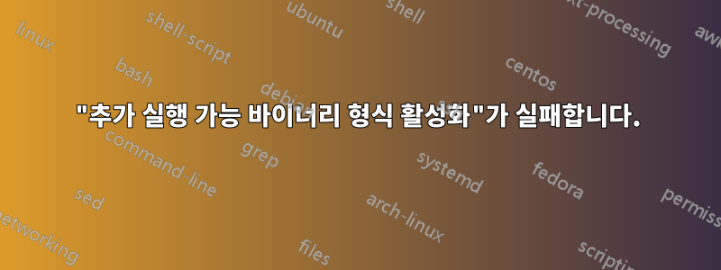 "추가 실행 가능 바이너리 형식 활성화"가 실패합니다.