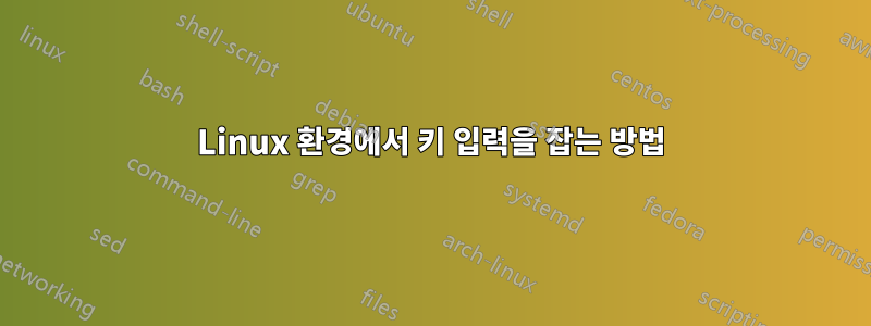 Linux 환경에서 키 입력을 잡는 방법