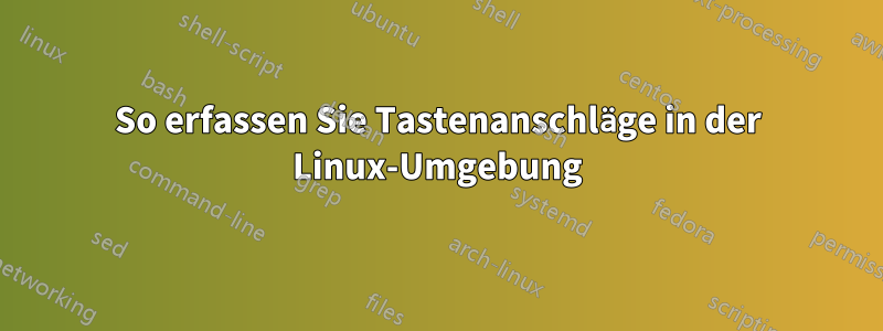 So erfassen Sie Tastenanschläge in der Linux-Umgebung