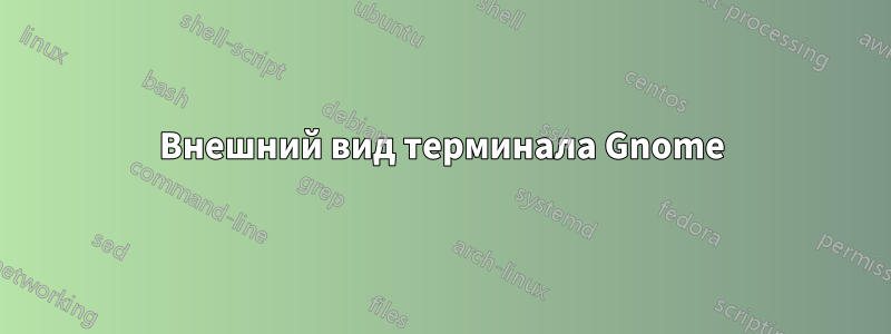 Внешний вид терминала Gnome