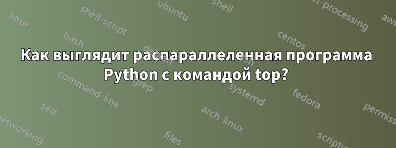 Как выглядит распараллеленная программа Python с командой top?