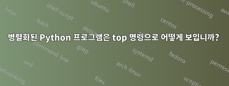 병렬화된 Python 프로그램은 top 명령으로 어떻게 보입니까?