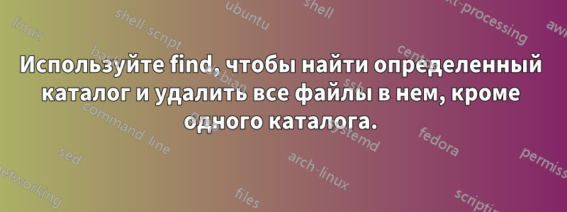 Используйте find, чтобы найти определенный каталог и удалить все файлы в нем, кроме одного каталога.