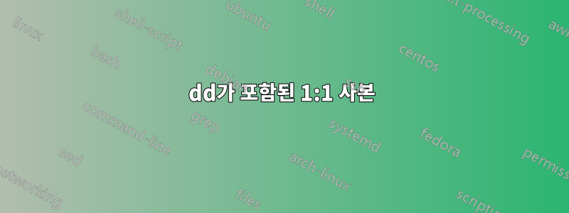 dd가 포함된 1:1 사본