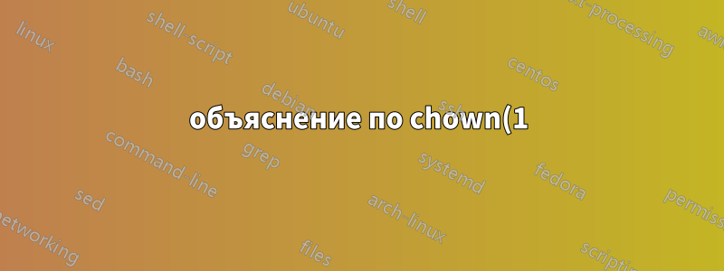 объяснение по chown(1) POSIX spec