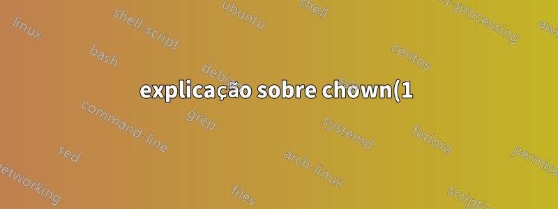 explicação sobre chown(1) especificação POSIX