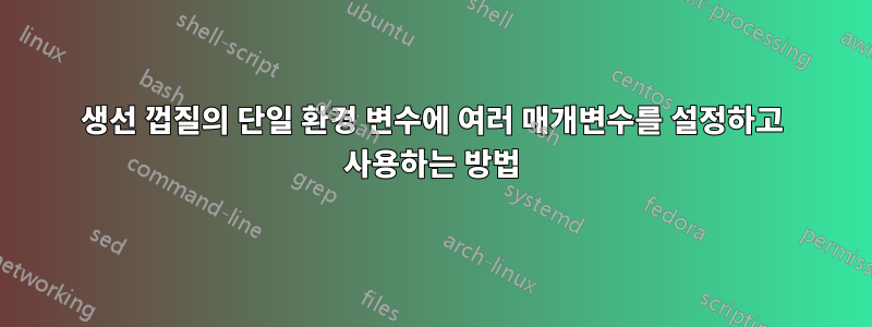 생선 껍질의 단일 환경 변수에 여러 매개변수를 설정하고 사용하는 방법