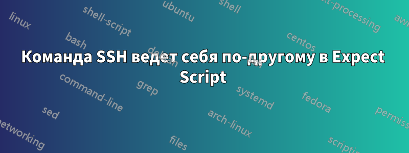 Команда SSH ведет себя по-другому в Expect Script