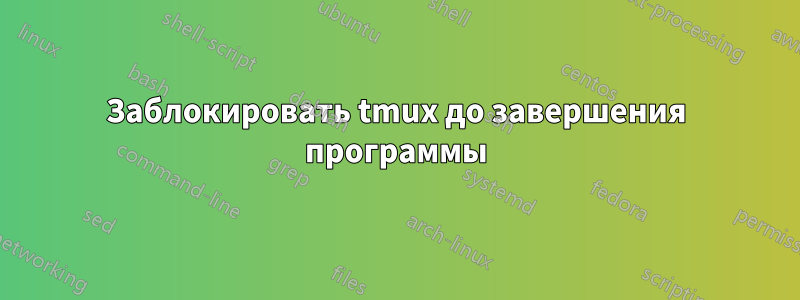 Заблокировать tmux до завершения программы