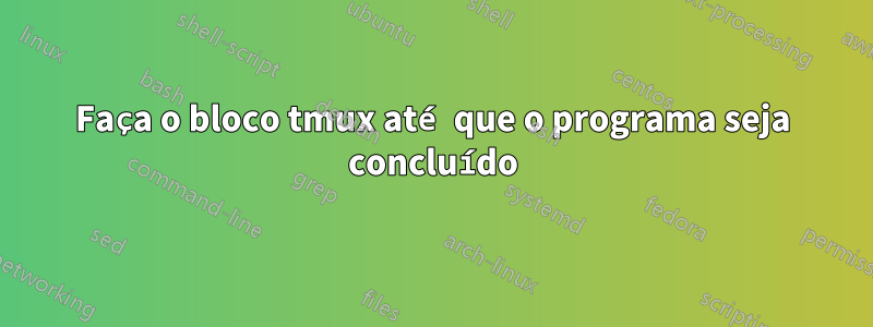 Faça o bloco tmux até que o programa seja concluído