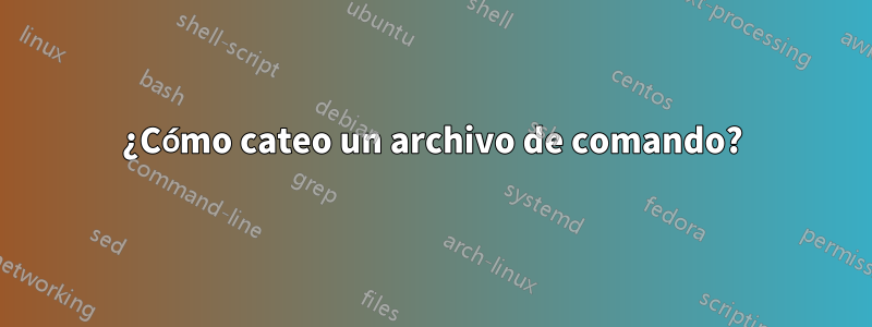 ¿Cómo cateo un archivo de comando?