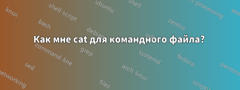 Как мне cat для командного файла?