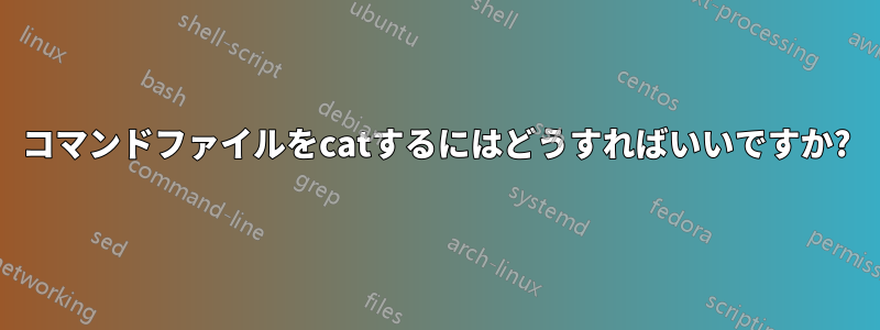 コマンドファイルをcatするにはどうすればいいですか?