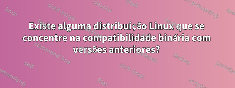 Existe alguma distribuição Linux que se concentre na compatibilidade binária com versões anteriores?