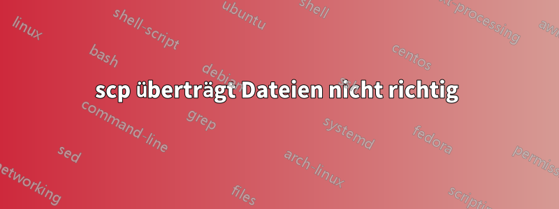 scp überträgt Dateien nicht richtig