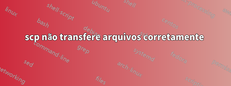 scp não transfere arquivos corretamente