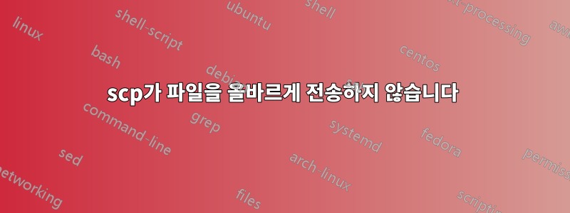 scp가 파일을 올바르게 전송하지 않습니다