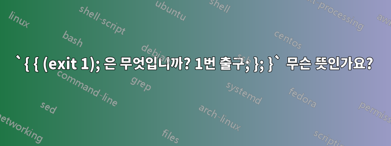 `{ { (exit 1); 은 무엇입니까? 1번 출구; }; }` 무슨 뜻인가요?