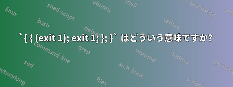 `{ { (exit 1); exit 1; }; }` はどういう意味ですか?