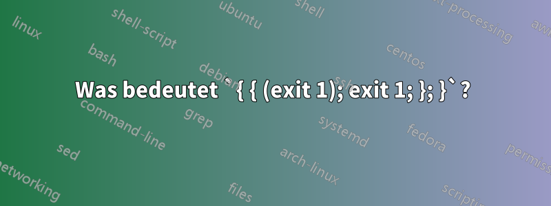 Was bedeutet `{ { (exit 1); exit 1; }; }`?