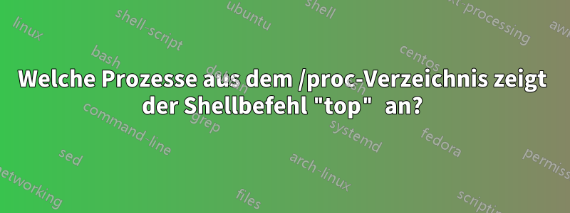 Welche Prozesse aus dem /proc-Verzeichnis zeigt der Shellbefehl "top" an?