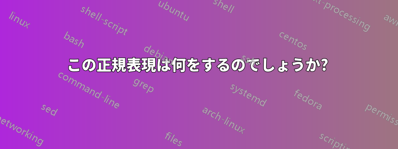 この正規表現は何をするのでしょうか?