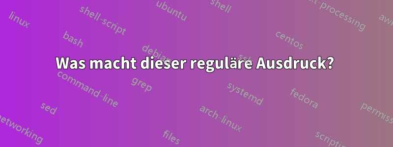 Was macht dieser reguläre Ausdruck?