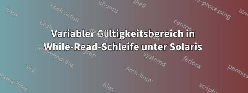 Variabler Gültigkeitsbereich in While-Read-Schleife unter Solaris