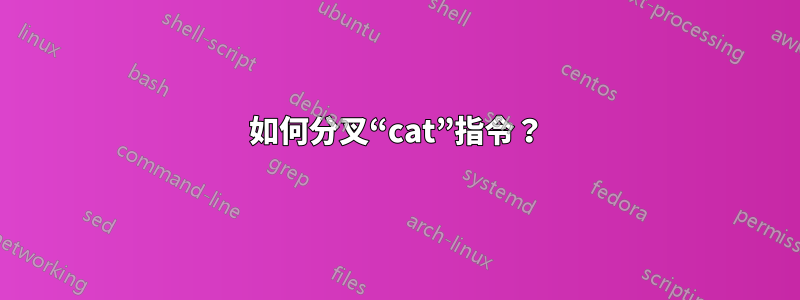 如何分叉“cat”指令？