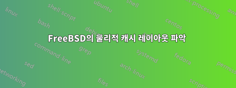 FreeBSD의 물리적 캐시 레이아웃 파악