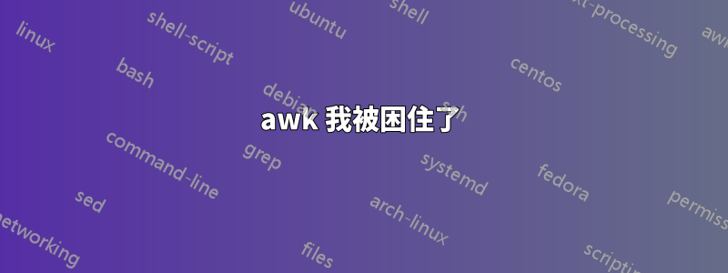 awk 我被困住了