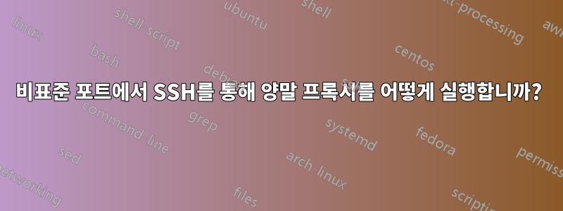 비표준 포트에서 SSH를 통해 양말 프록시를 어떻게 실행합니까?