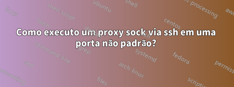 Como executo um proxy sock via ssh em uma porta não padrão?