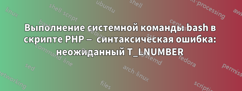 Выполнение системной команды bash в скрипте PHP — синтаксическая ошибка: неожиданный T_LNUMBER