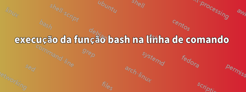 execução da função bash na linha de comando