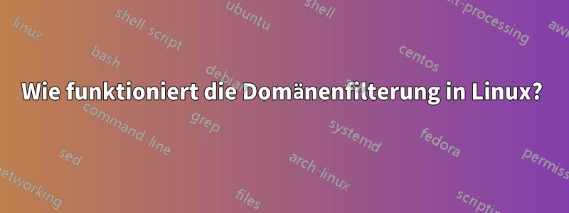 Wie funktioniert die Domänenfilterung in Linux?