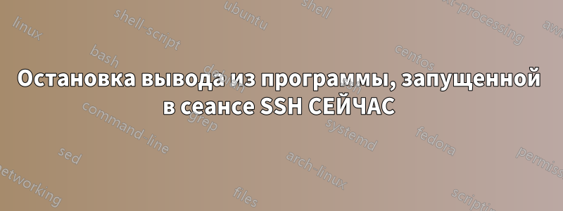 Остановка вывода из программы, запущенной в сеансе SSH СЕЙЧАС