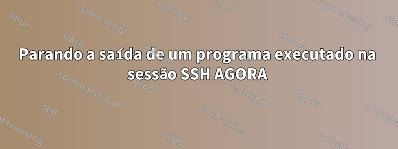 Parando a saída de um programa executado na sessão SSH AGORA