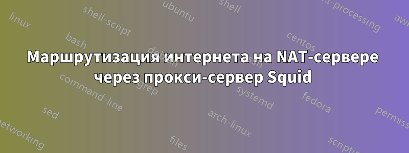 Маршрутизация интернета на NAT-сервере через прокси-сервер Squid