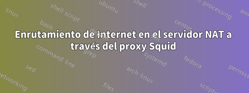 Enrutamiento de Internet en el servidor NAT a través del proxy Squid