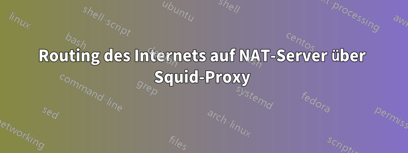 Routing des Internets auf NAT-Server über Squid-Proxy