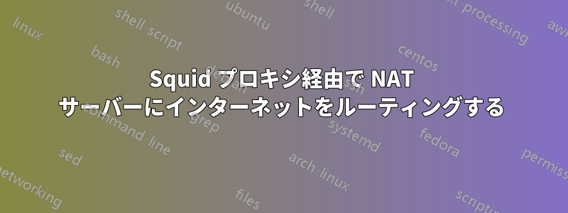 Squid プロキシ経由で NAT サーバーにインターネットをルーティングする