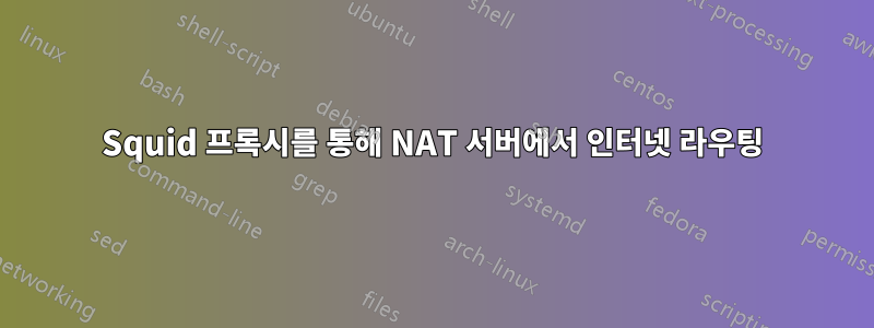 Squid 프록시를 통해 NAT 서버에서 인터넷 라우팅