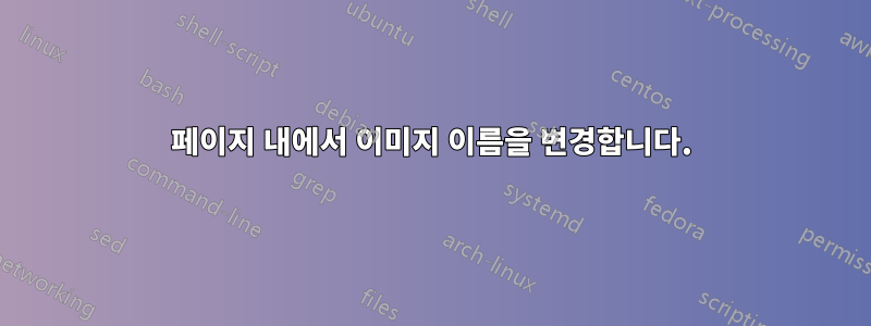 페이지 내에서 이미지 이름을 변경합니다.