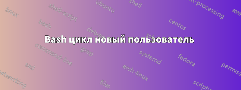 Bash цикл новый пользователь