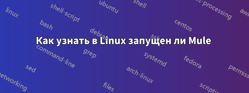 Как узнать в Linux запущен ли Mule