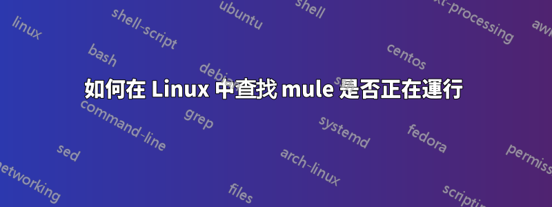 如何在 Linux 中查找 mule 是否正在運行