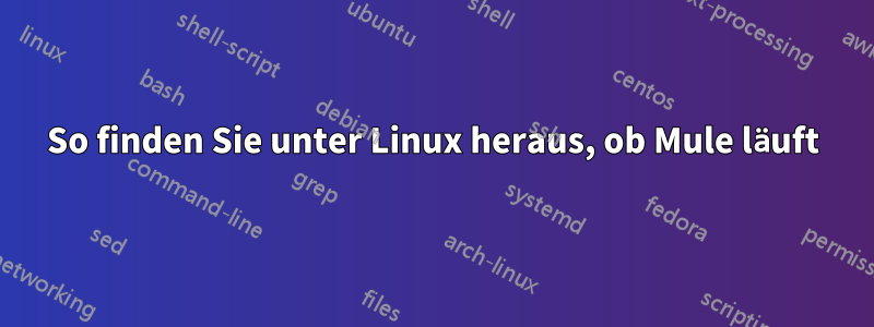 So finden Sie unter Linux heraus, ob Mule läuft